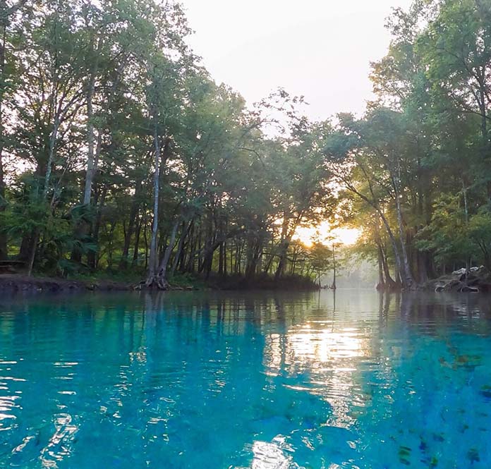 Natural Water Springs In Florida
