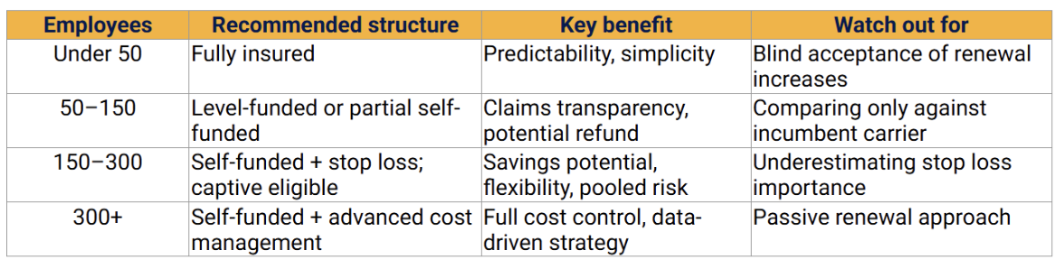 Table showing employee ranges with recommended insurance structures, key benefits, and cautions for under 50 to 300+ employees.