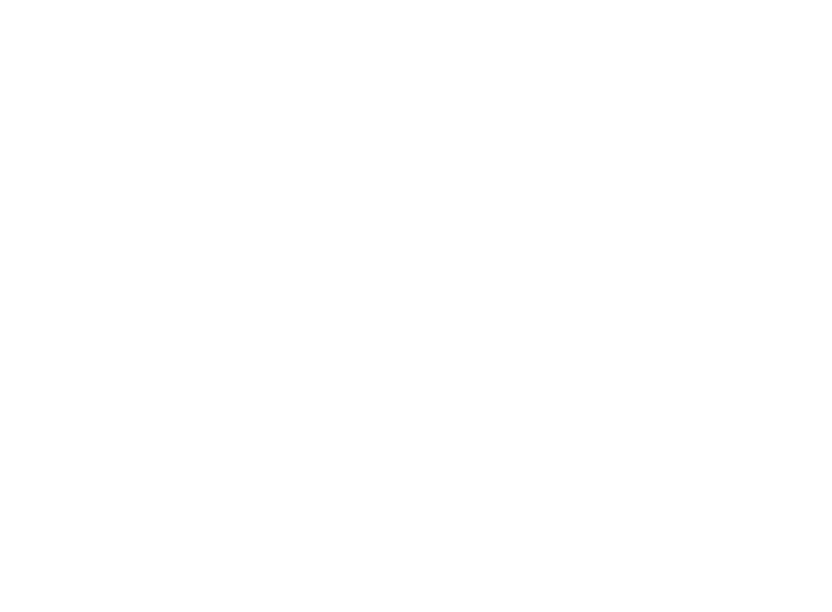 NRF Foundation RISE Up Partner of the Year