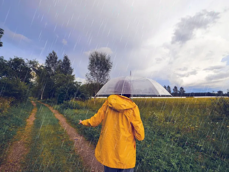 A person holding an umbrella in the rain.