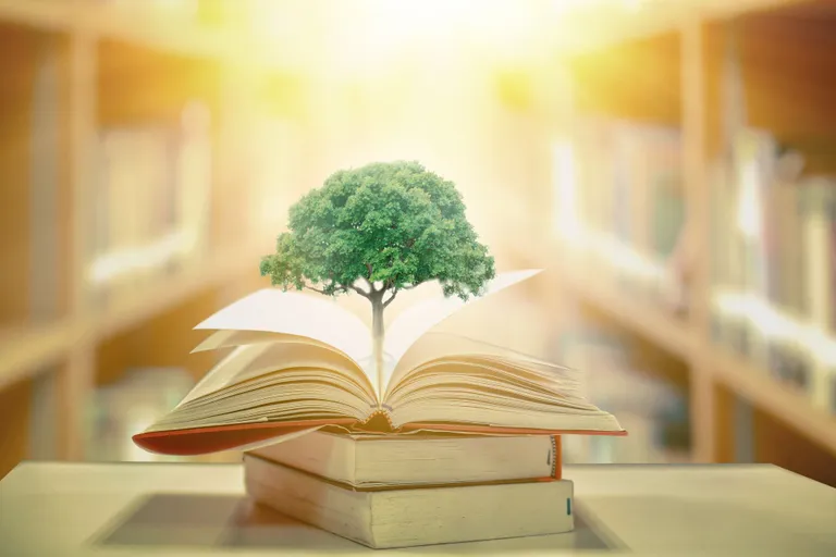 A tree sprouting from a book.