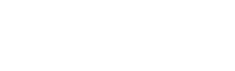 NRF Foundation RISE Up logo