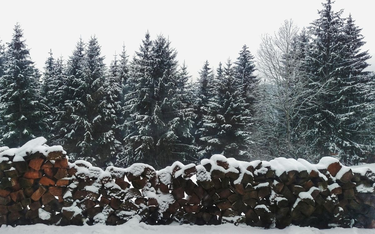 The Holidays, Grief, and Hope in the Wake of Tragedy