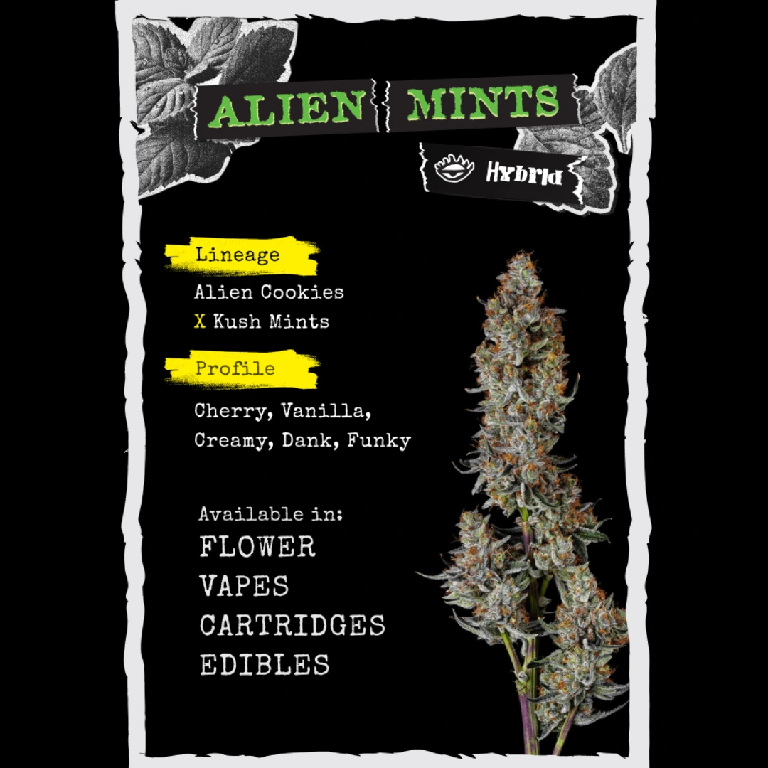 Strane Alien Mints flower strain with lineage and terpene profile