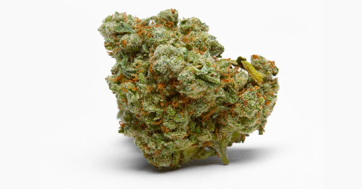 High-quality cannabis flower with dense trichome coverage and visible orange hairs..