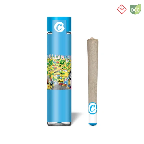Cookies Hollywood premium flower pre-roll beside its packaging tube, available at Bloom dispensaries in Ohio.