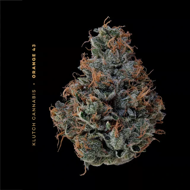 klutch orange 43 flower strain nug