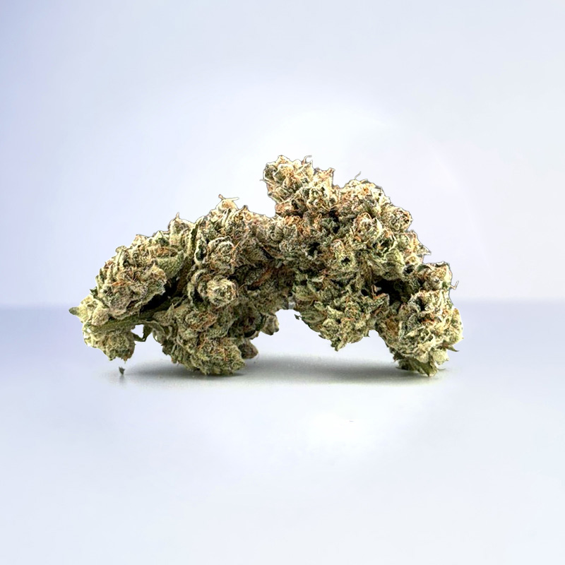 cake crashers strain