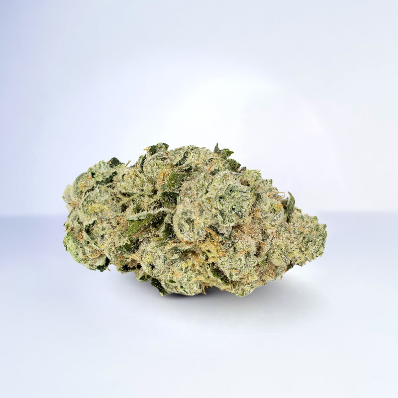 orange 43 strain