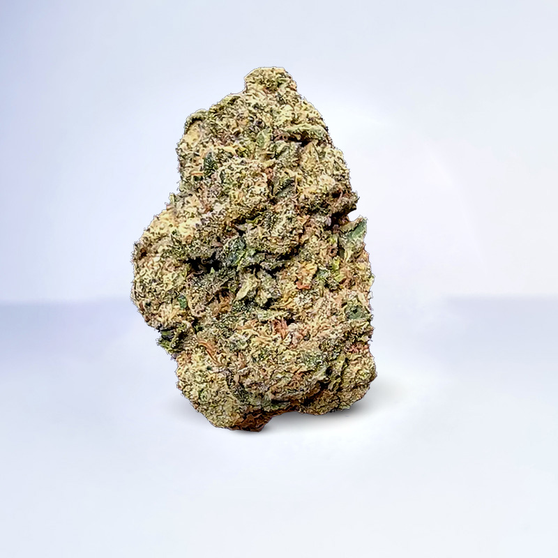 gary runts strain