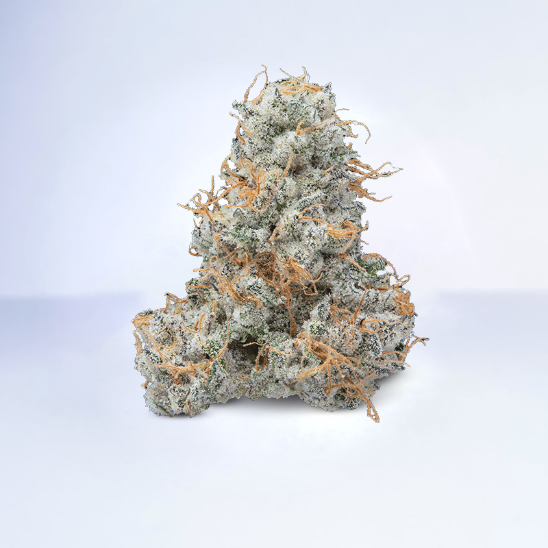 kush mints
