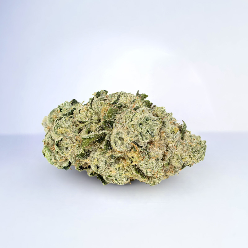 brownie scout strain