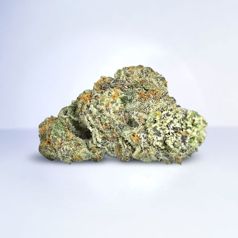 gummy buns strain
