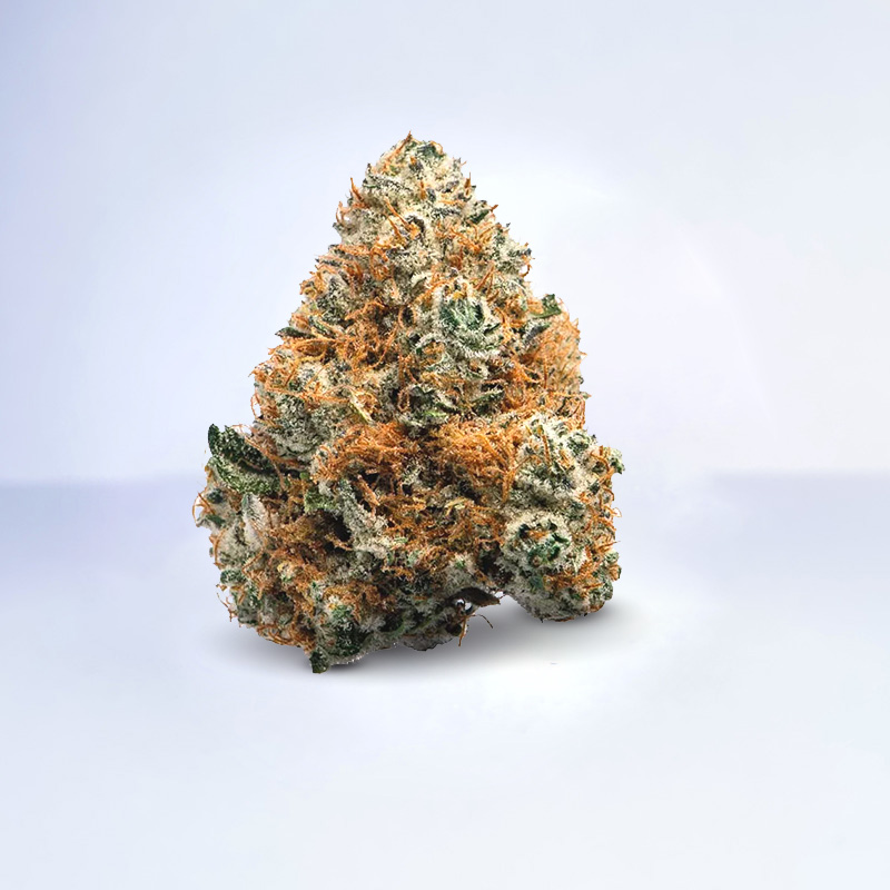 dark rainbow strain