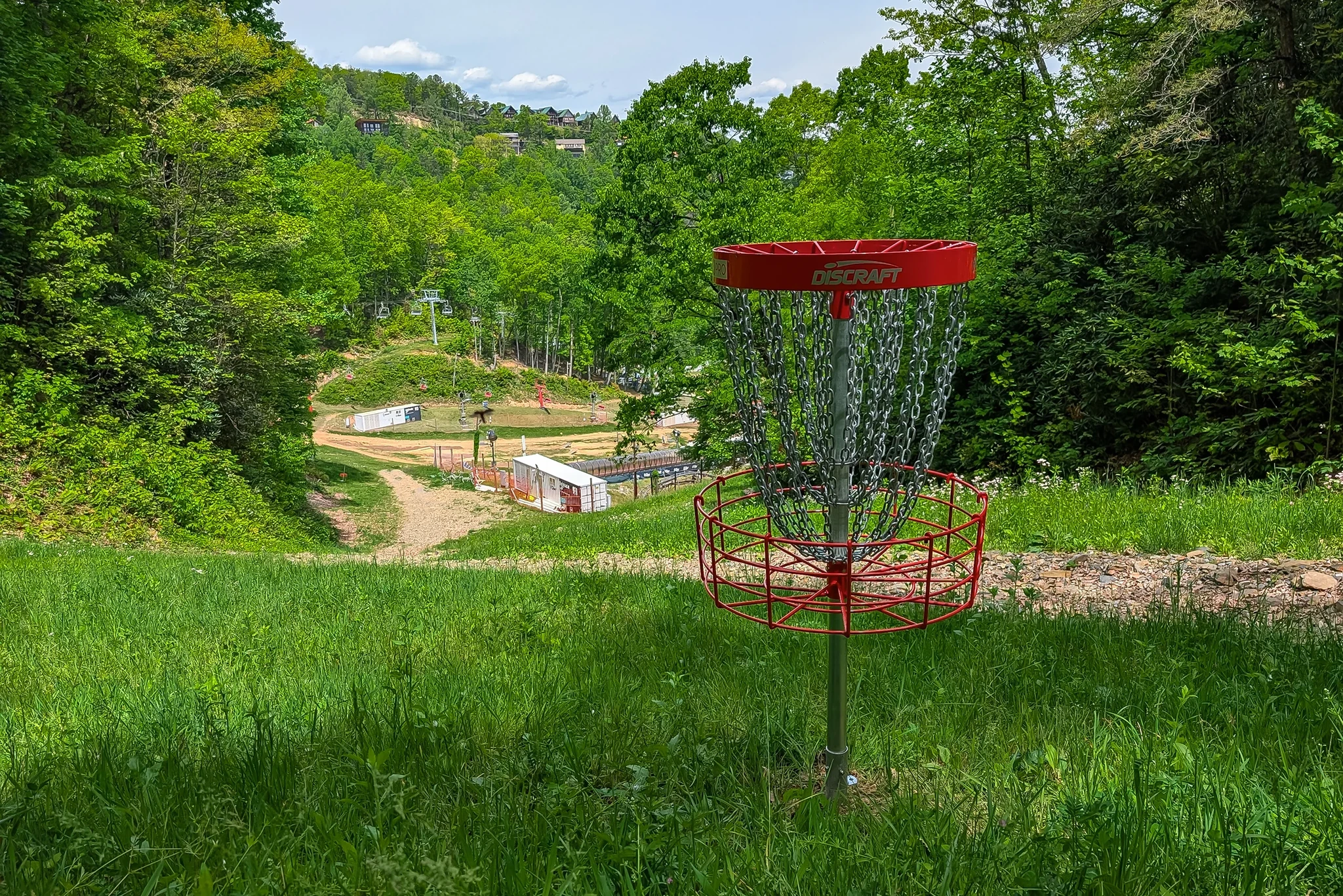 Image of: Disc Golf