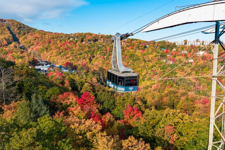 Gatlinburg Tram soaring over the colorful trees in fall