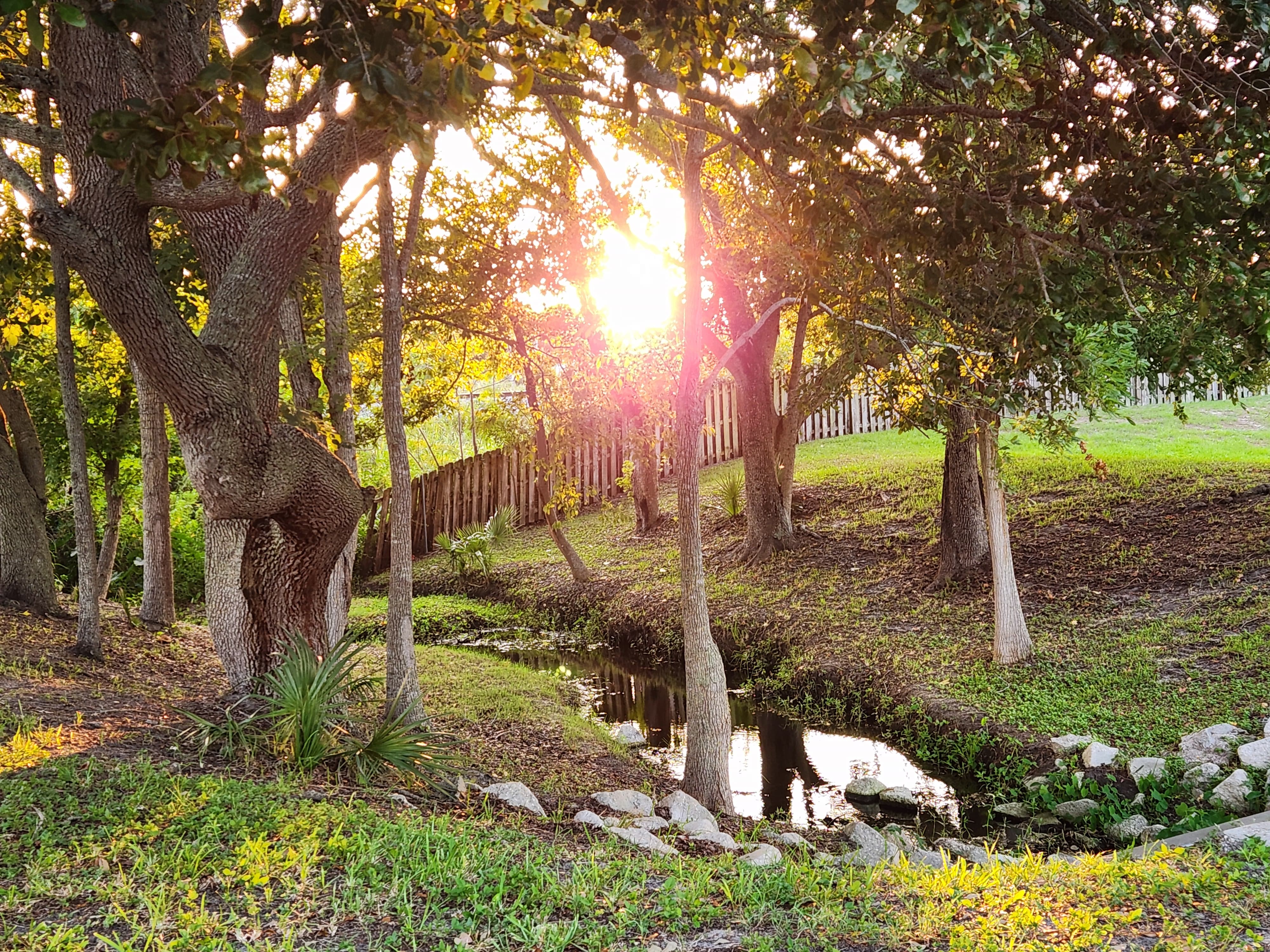 Aerial view of Honeybrook Plantation