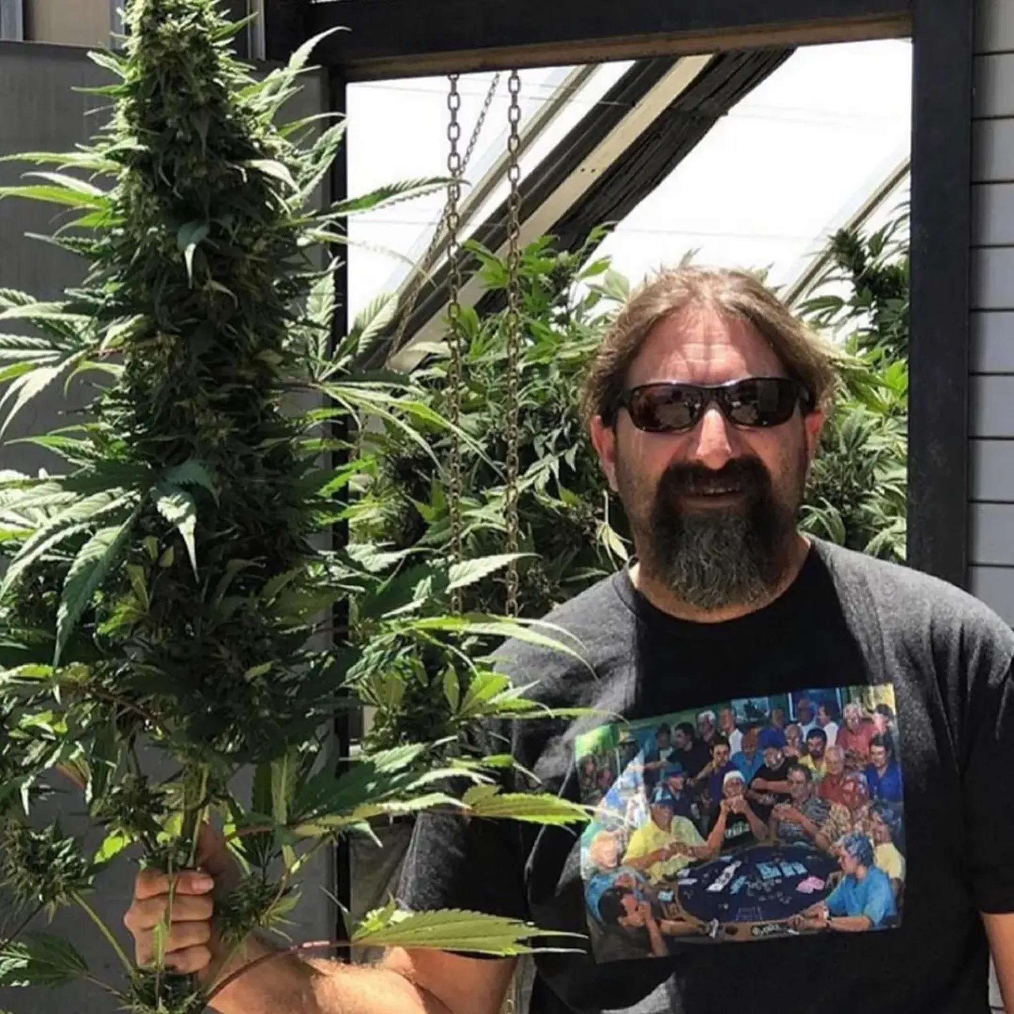 Man with sunglasses holding a large cannabis plant, wearing a T-shirt with a group photo.