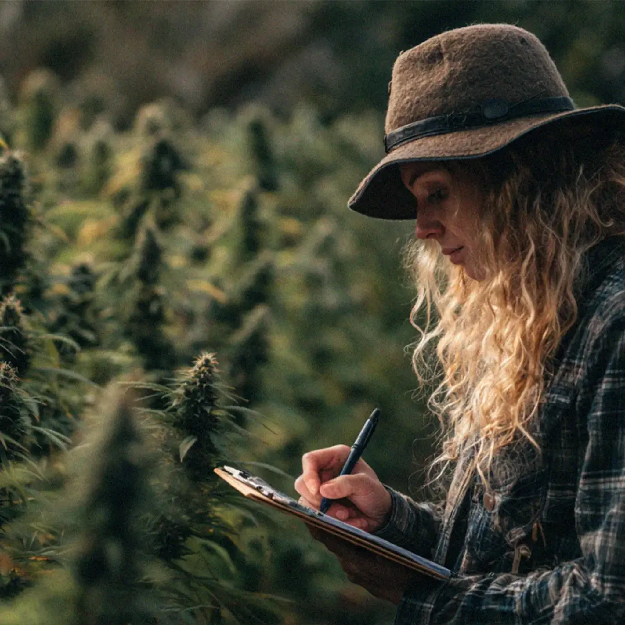 Person in a hat takes notes on a clipboard while examining plants in a field.