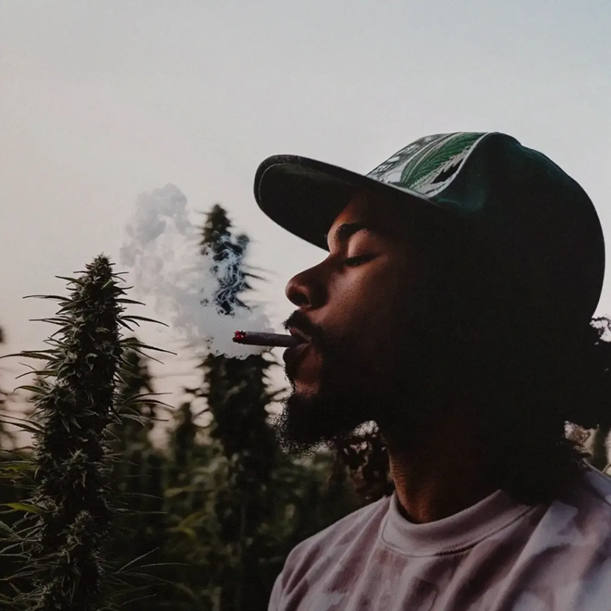 Person wearing a green cap, exhaling smoke while standing among tall plants at dusk.