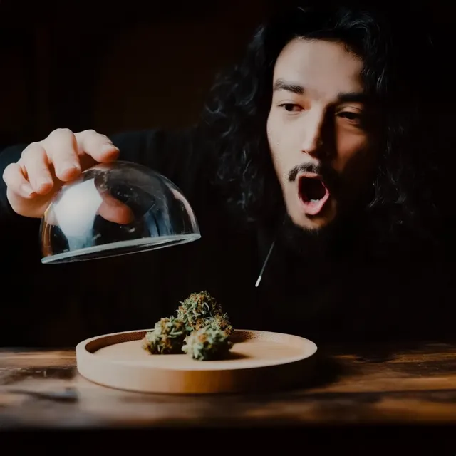 Person with long hair looks surprised while lifting a glass cover from a wooden plate with cannabis buds on a wooden table.