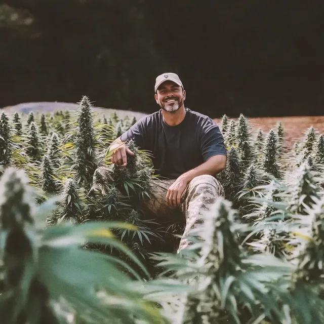 Man in a cap and camo pants sitting among tall cannabis plants, smiling at the camera. Dense greenery surrounds him under a clear sky.