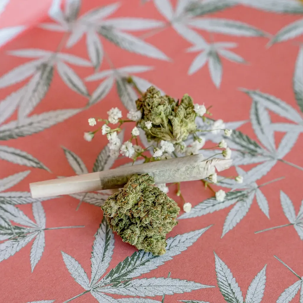 Interactive Strain Education