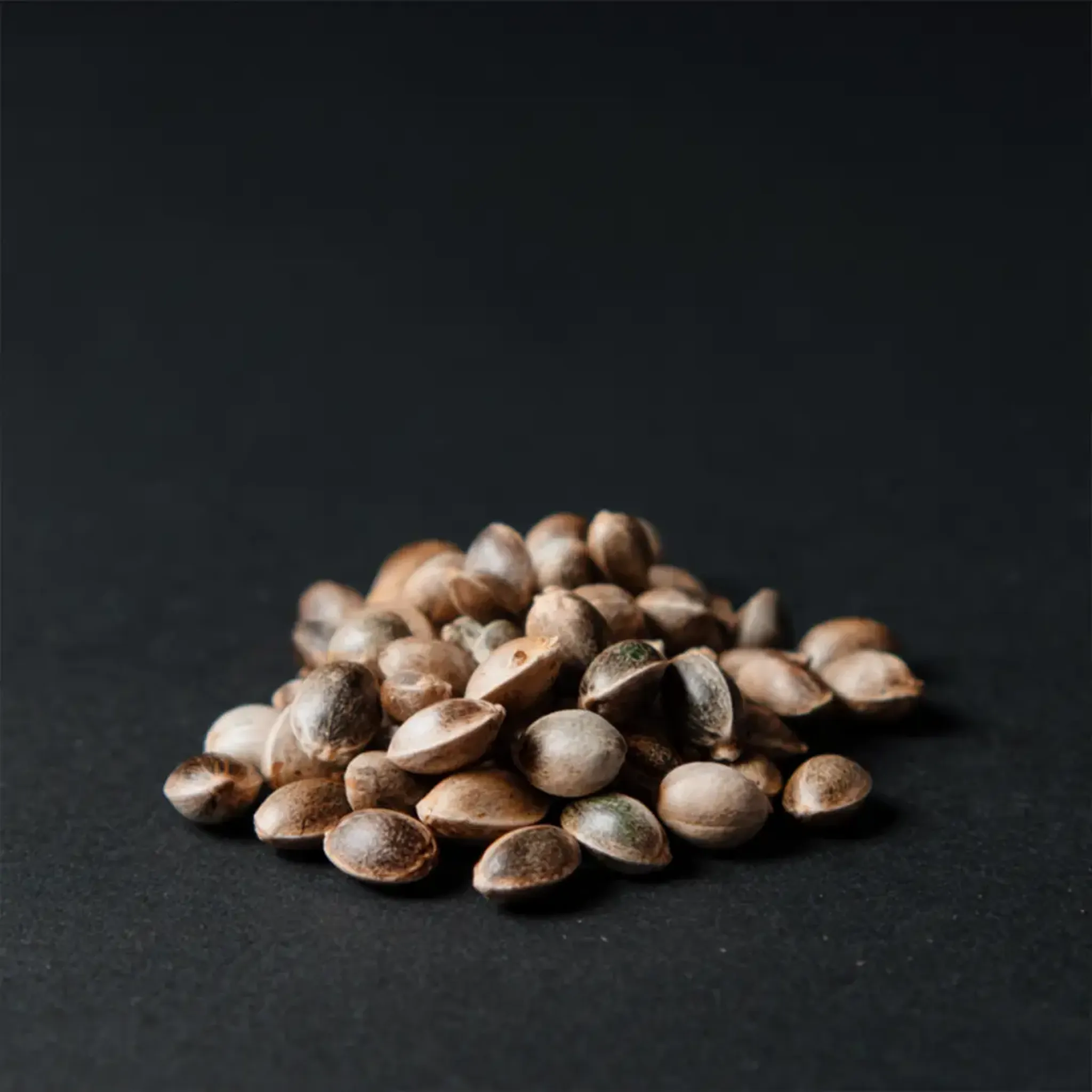 A small pile of brown seeds on a dark, textured surface, with soft lighting highlighting their smooth, oval shapes.