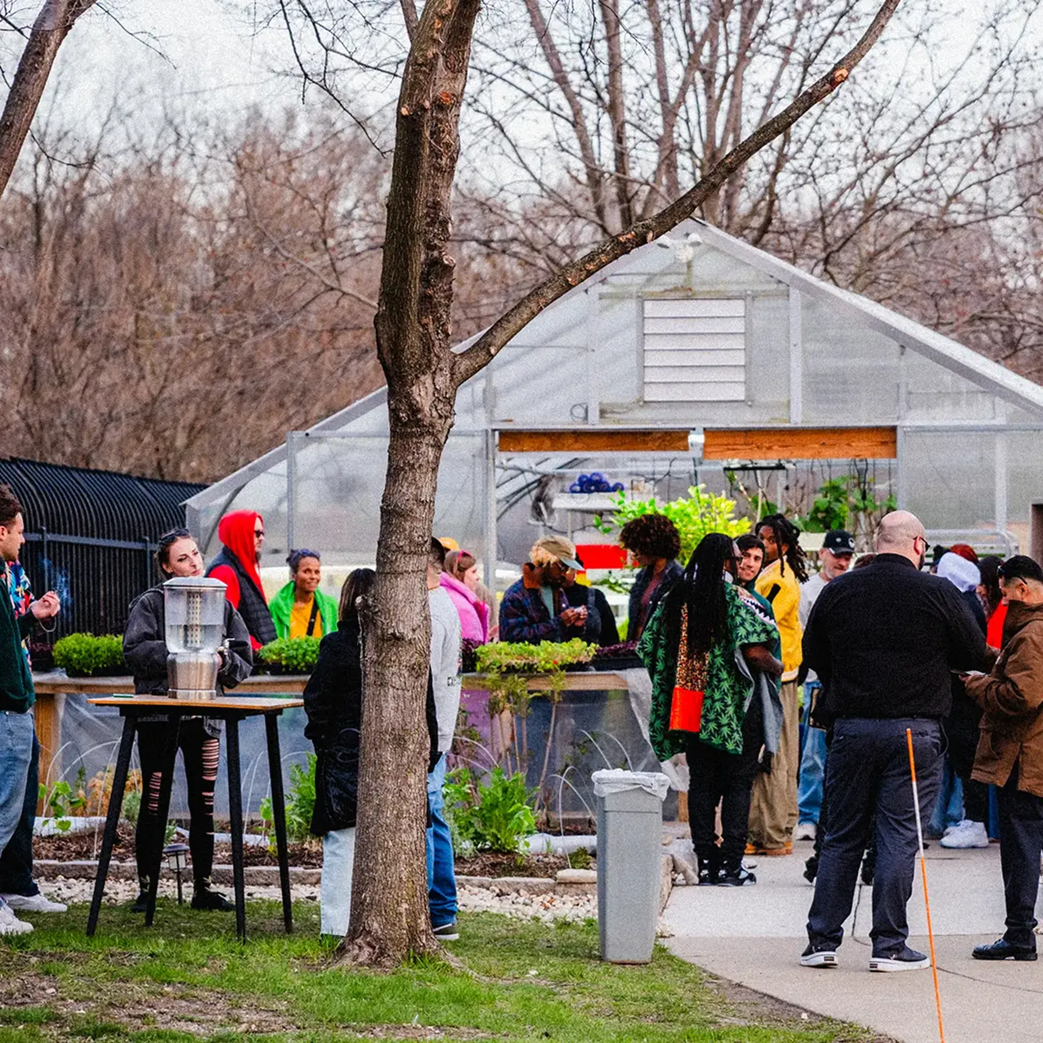 People gathered outside a greenhouse, mingling and socializing. Trees and plants surround the area, creating a lively outdoor atmosphere.