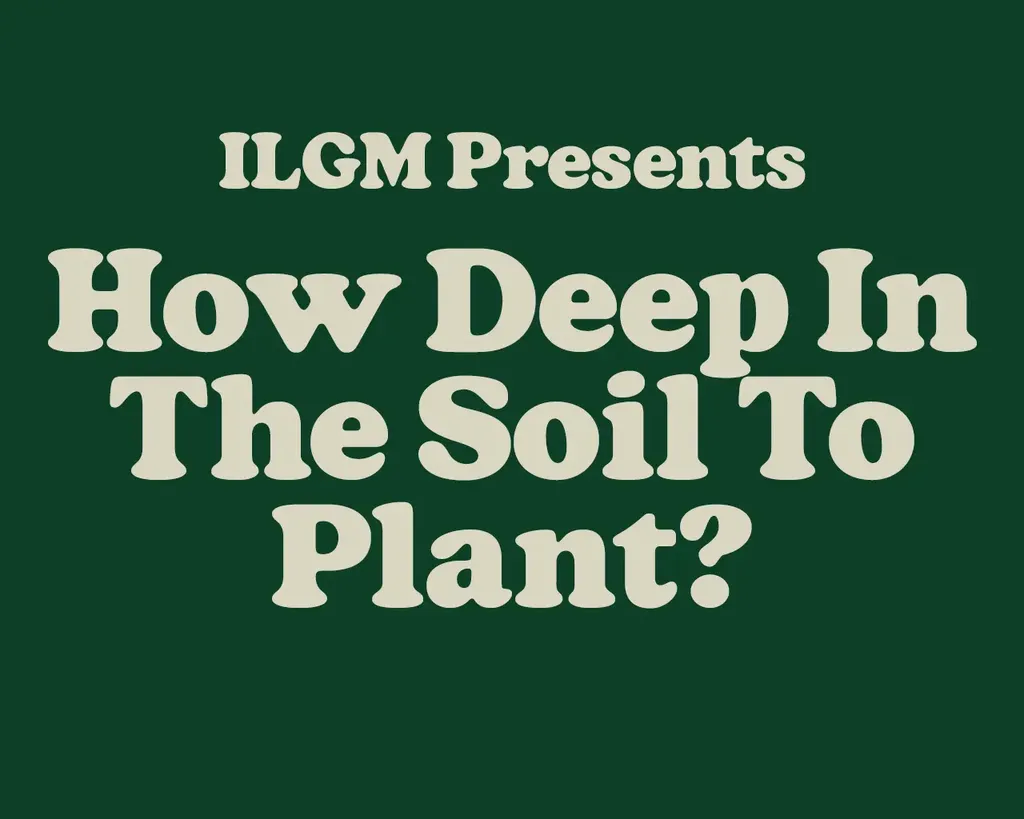 How Deep In The Soil To Plant