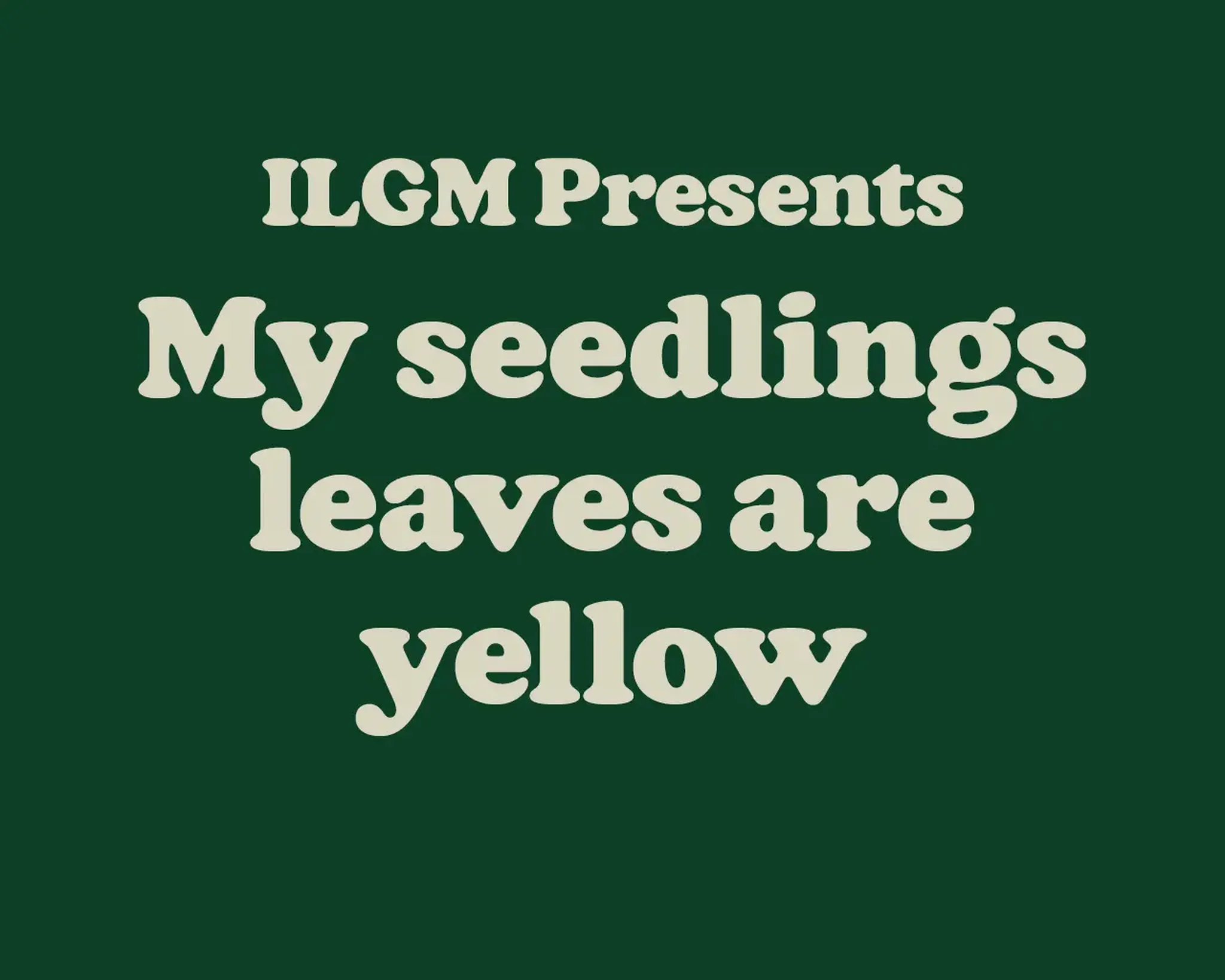 Text on a dark green background: "ILGM Presents My seedlings leaves are yellow" in bold, cream-colored font.