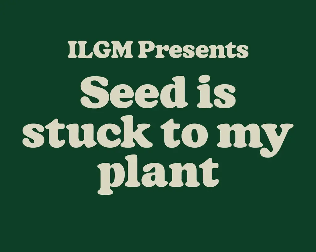 Text on a dark green background: "ILGM Presents Seed is stuck to my plant" in bold, cream-colored letters.