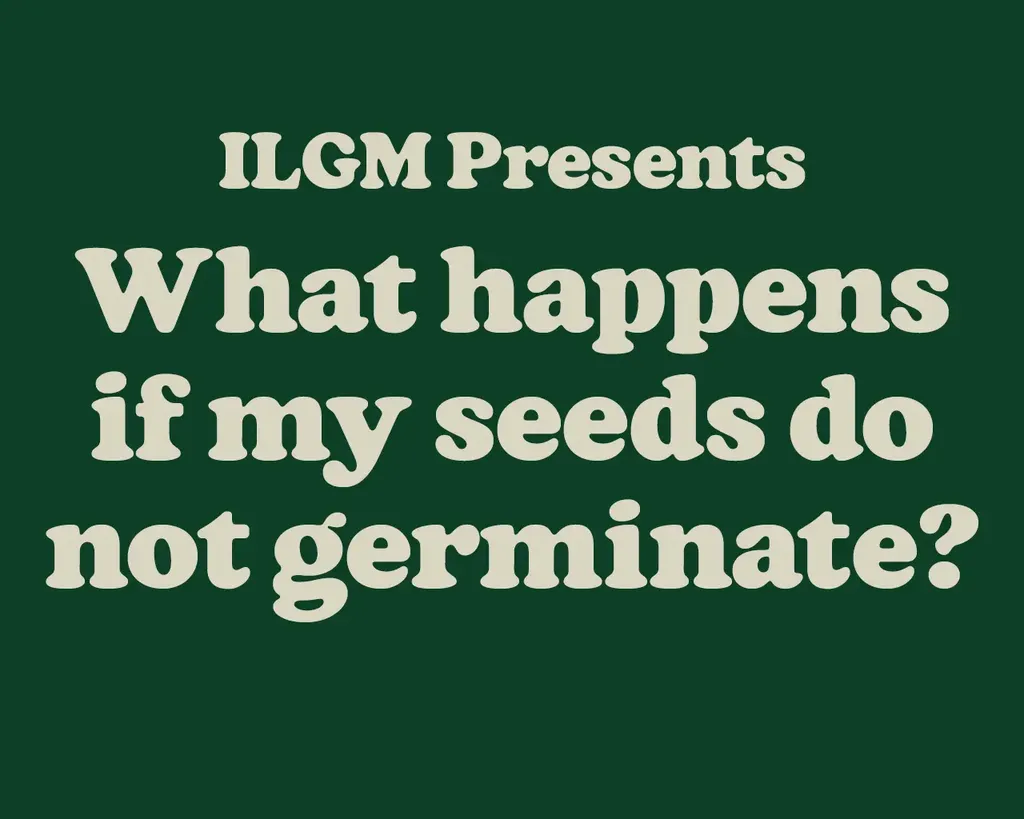Text on a green background: "ILGM Presents What happens if my seeds do not germinate?" in large, bold, cream-colored font.