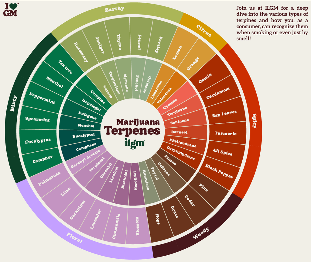 tobacco vs weed feeling Vaping Cannabis Produces Stronger Effects Than Smoking Cannabis For Infrequent Users tobacco vs weed feeling Vaping Cannabis Produces Stronger Effects Than Smoking Cannabis For Infrequent Users