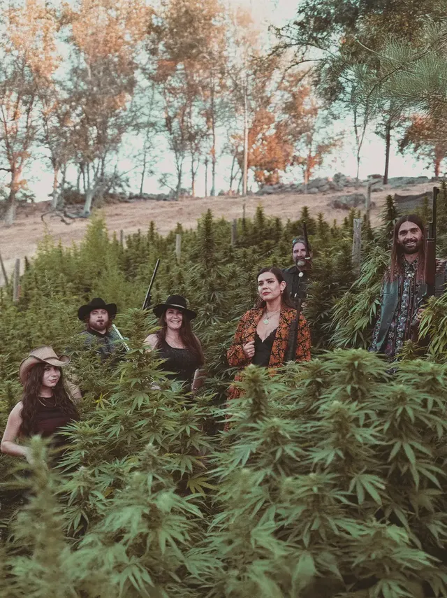 Crockett Family Farms | Exclusive Feminized Seeds
