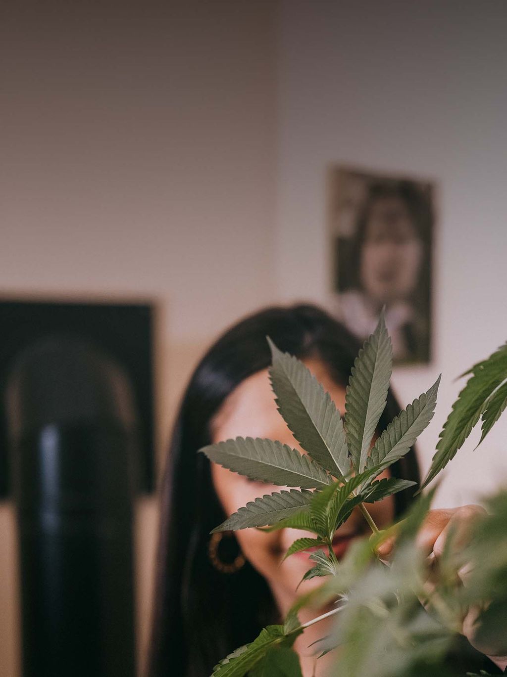 Cannabis Grow Workshop