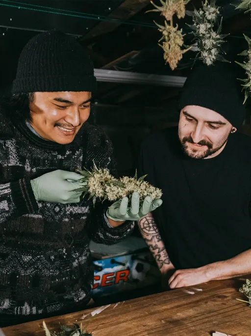 two growers checking out their harvest