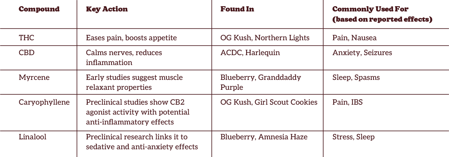 A chart detailing cannabis compounds, their key actions, sources, and common uses, including THC, CBD, Myrcene, Caryophyllene, and Linalool.
