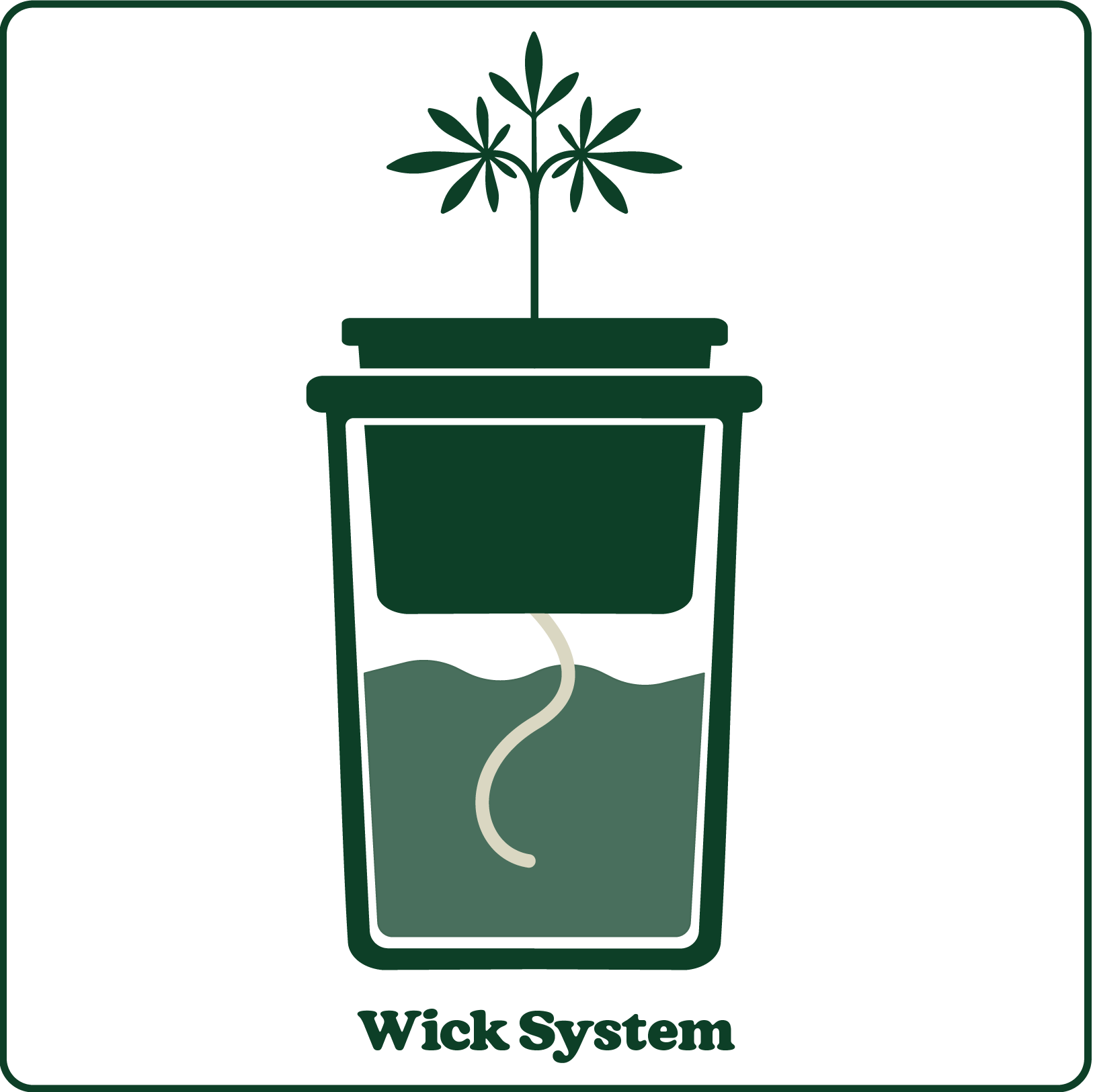 Illustration of a wick system: a plant in a pot with a wick drawing water from a reservoir below, labeled