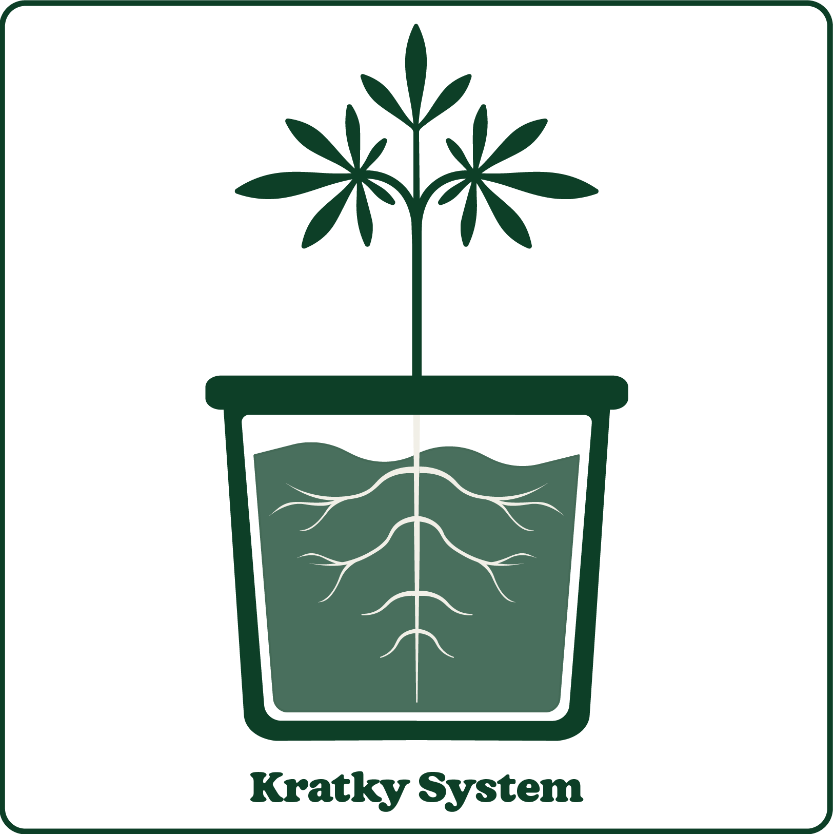 Illustration of a plant in a pot using the Kratky hydroponic system, showing roots suspended in water.