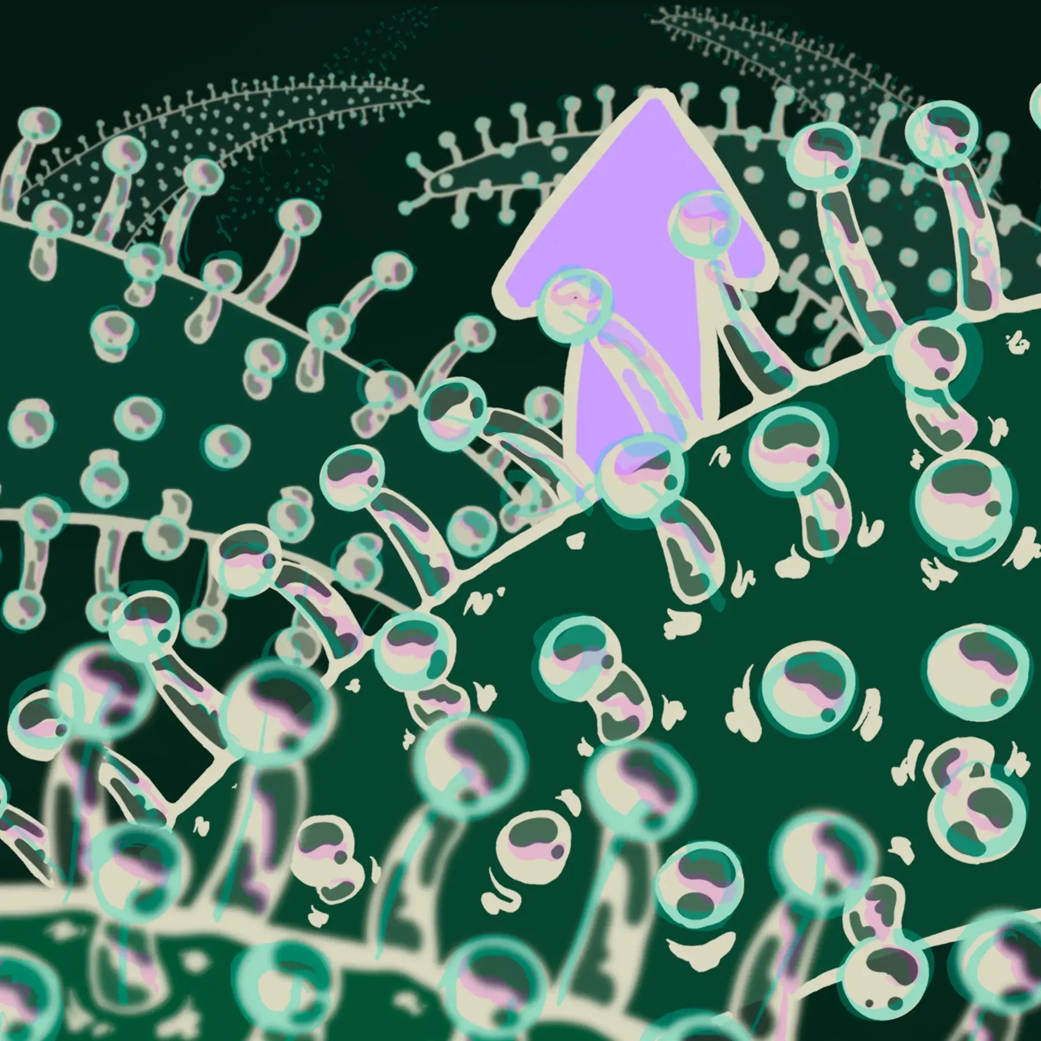 Arrow pointing up with trichomes in front of it