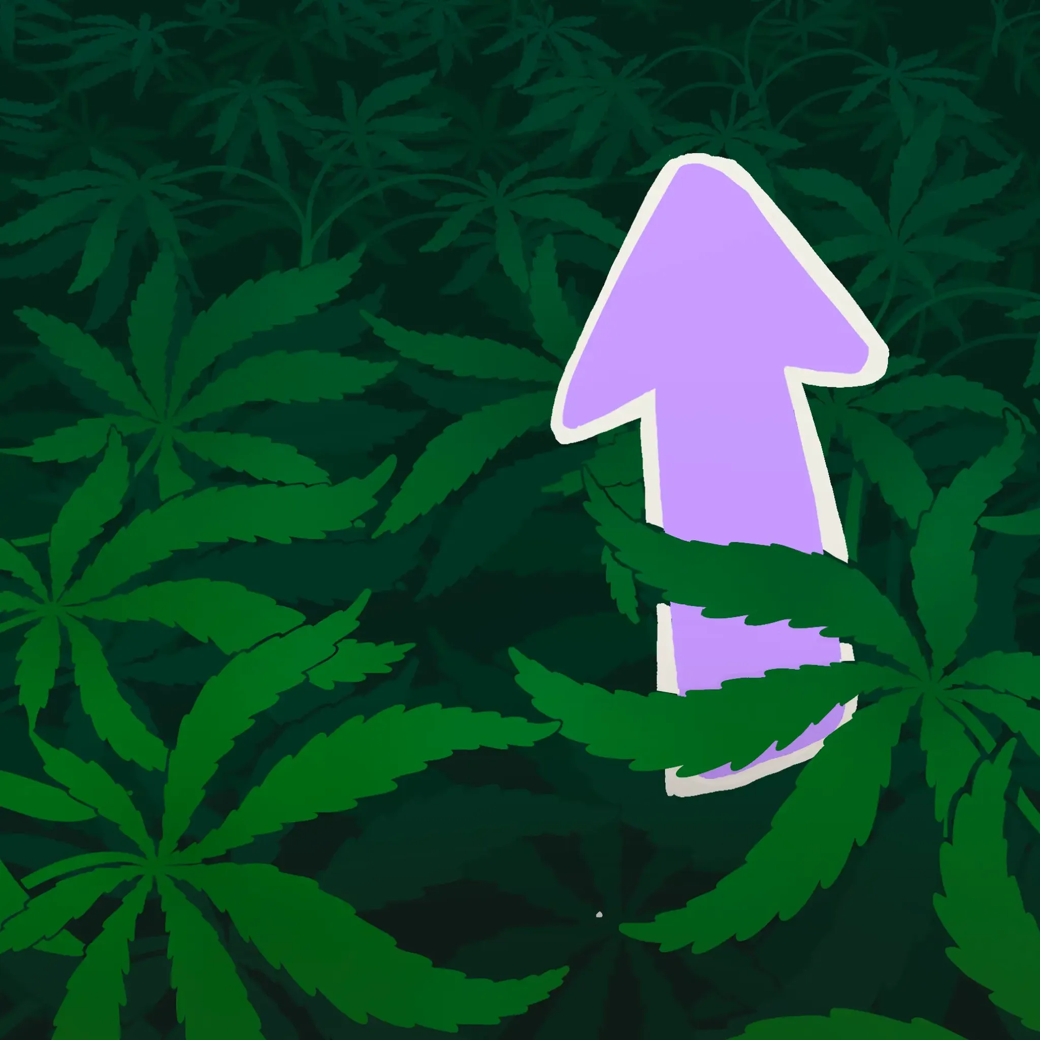 Purple arrow pointing upwards over a dense field of green, leafy plants.