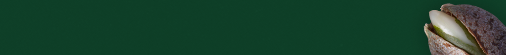 Image banner for the ILGM seed-finder tool. Green background Image featuring a cracked seed on the right side of the image.