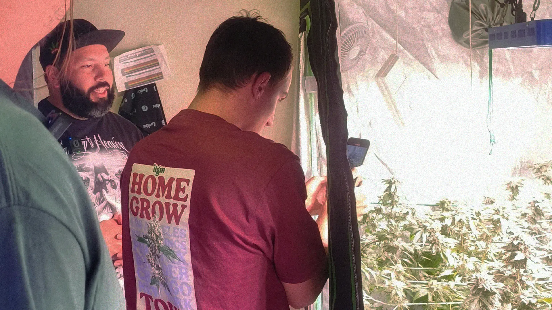 Three people in a room with indoor plants. One holds a phone, another wears a cap. A grow tent with bright lights and plants is visible.