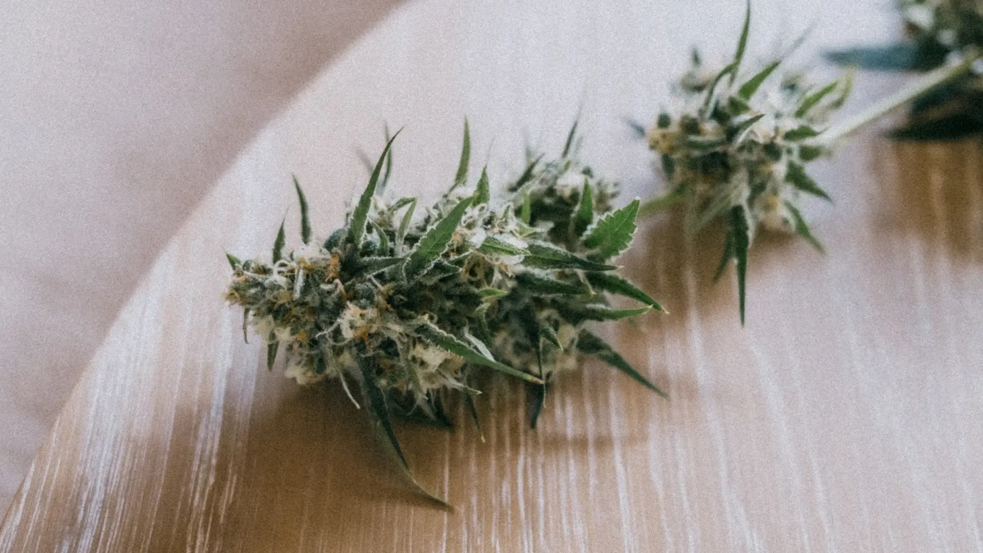 Close-up of cannabis buds with green leaves and white trichomes, placed on a wooden surface.
