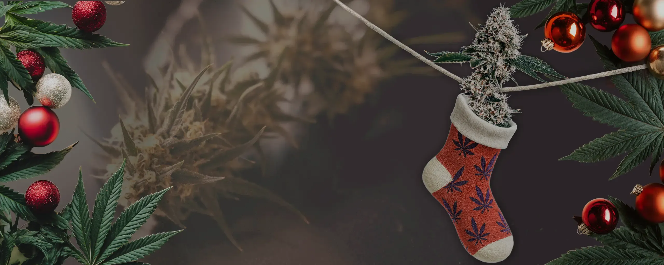 Christmas stocking with cannabis-leaf pattern holding a large cannabis bud, framed by marijuana leaves and red Christmas baubles.