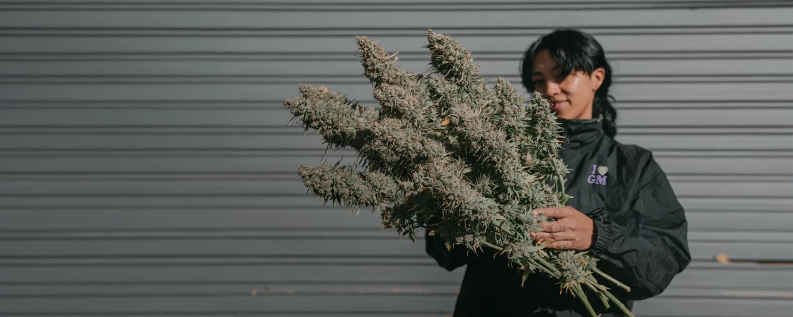 Girl holding cannabis colas