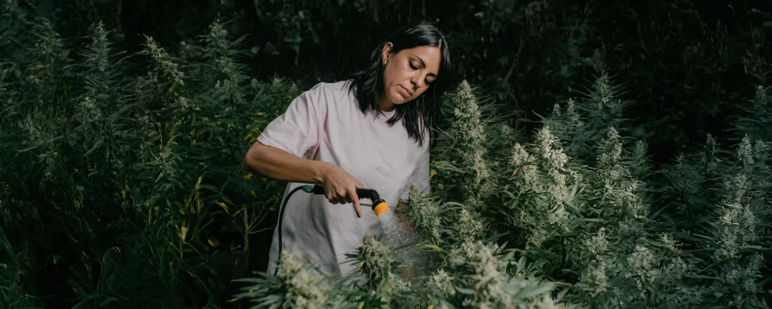 A woman waters lush green plants in a garden, surrounded by dense foliage, under soft lighting.