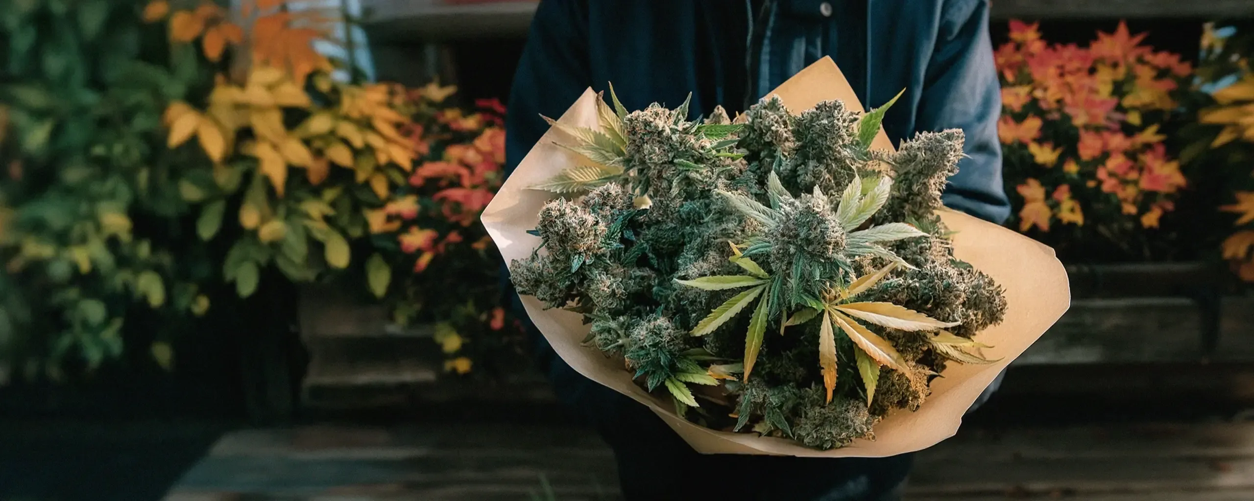 Bouquet of cannabis buds in autumn