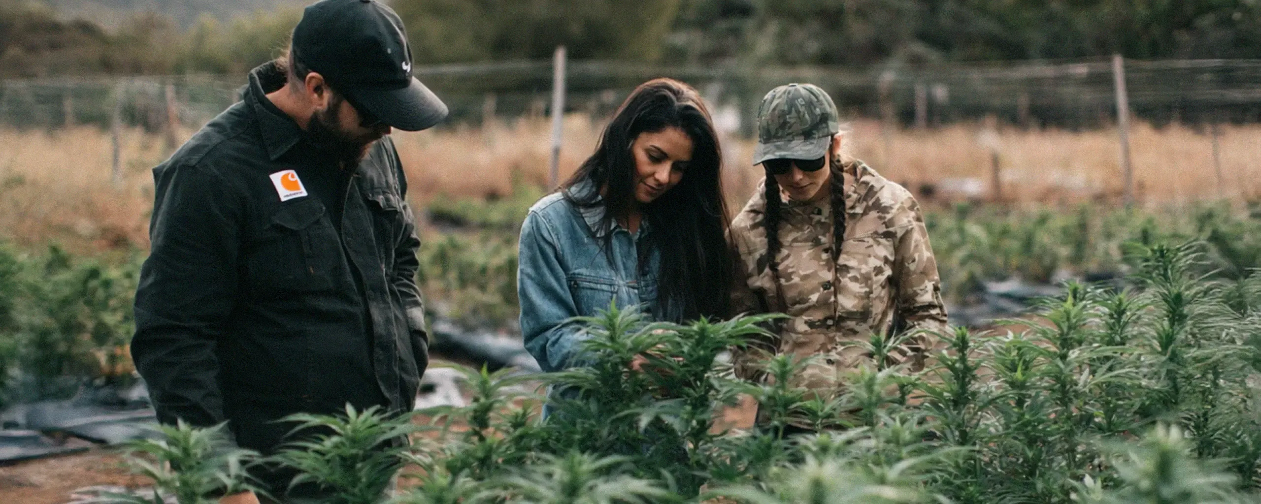 Three people examining plants in a field, one in a black jacket, another in a denim jacket, and the third in camouflage attire and cap.
